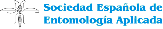 seea.png